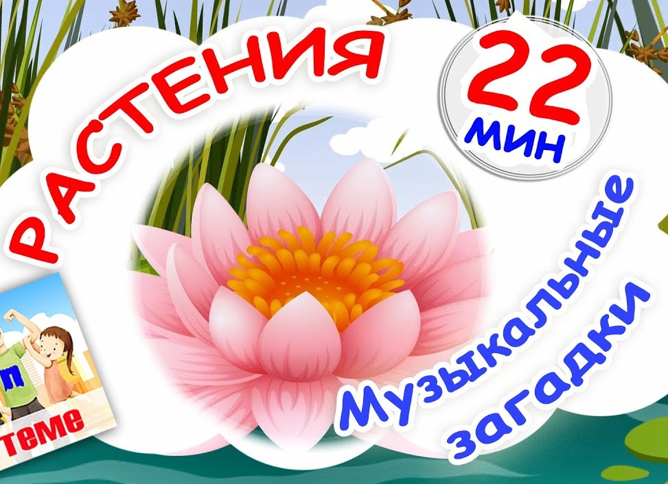 Цветок из советской детской сказки (ребус на смекалку)