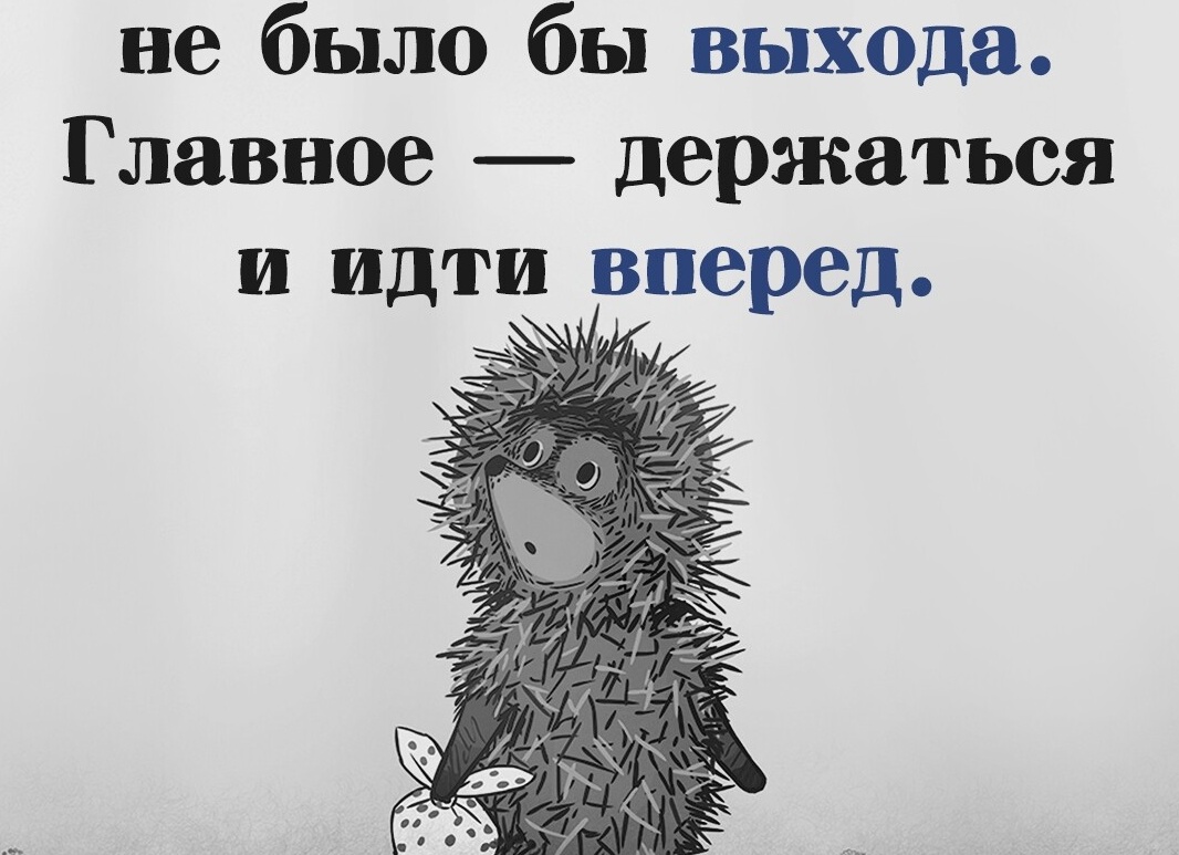Нет тумана, из которого не было бы выхода